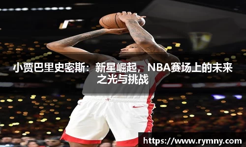 bsports官网入口
