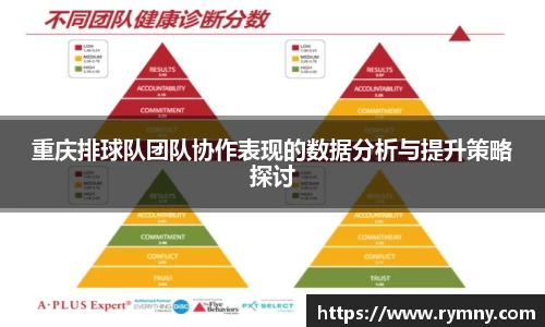 重庆排球队团队协作表现的数据分析与提升策略探讨